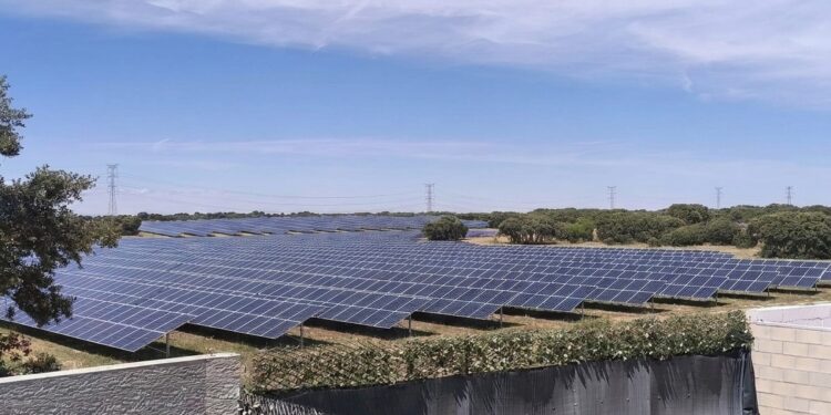 Pioz encara un pleno decisivo sobre macroplantas solares que abarcarían el 22% del municipio Pioz encara un pleno decisivo sobre macroplantas solares que abarcarían el 22% del municipio