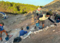 Rinocerontes, cocodrilos y dientes de sable: Cuenca vuelve a excavar su Oligoceno