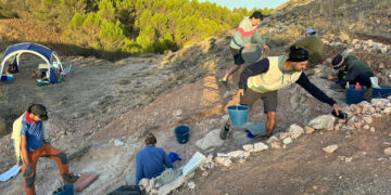 Rinocerontes, cocodrilos y dientes de sable: Cuenca vuelve a excavar su Oligoceno