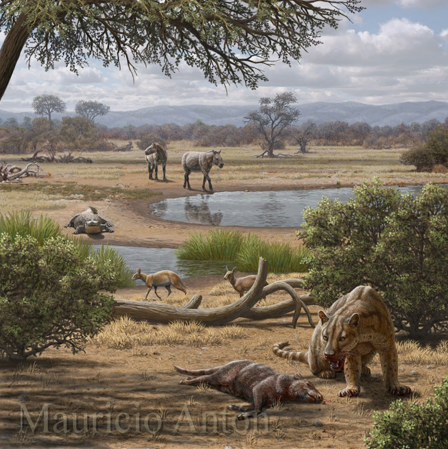 Rinocerontes, cocodrilos y dientes de sable: Cuenca vuelve a excavar su Oligoceno 1 Rinocerontes, cocodrilos y dientes de sable Cuenca vuelve a excavar su Oligoceno