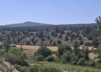 Sigüenza acoge el debate comarcal sobre el futuro rural frente a las macrogranjas de Maranchón
