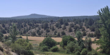 Sigüenza acoge el debate comarcal sobre el futuro rural frente a las macrogranjas de Maranchón