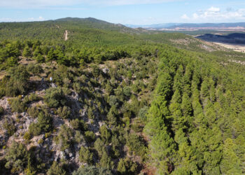 Toroverde encara la fase final ambiental de su resort en Cuenca y fija las obras para 2027