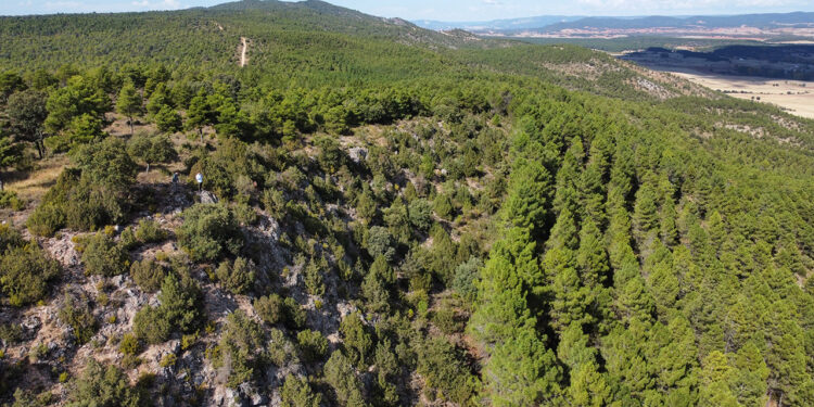 Toroverde encara la fase final ambiental de su resort en Cuenca y fija las obras para 2027 Toroverde encara la fase final ambiental de su resort en Cuenca y fija las obras para 2027
