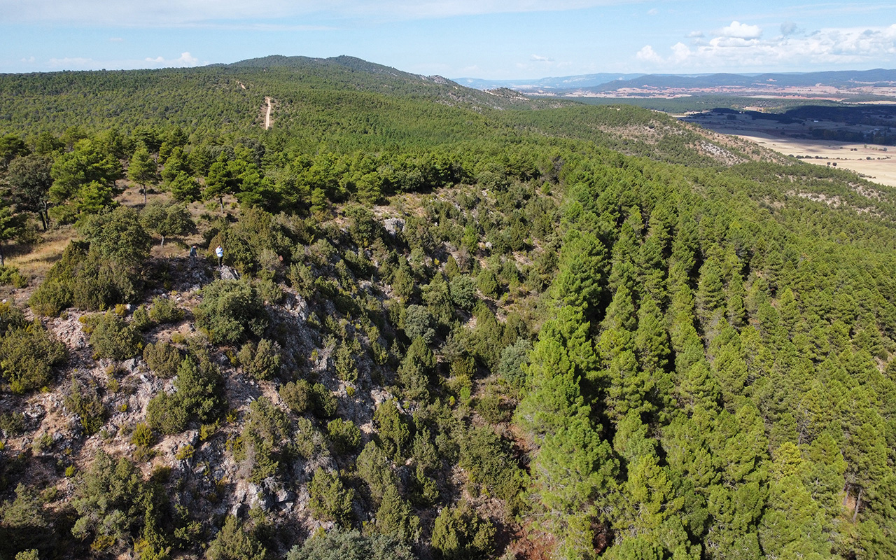 Toroverde encara la fase final ambiental de su resort en Cuenca y fija las obras para 2027 Toroverde encara la fase final ambiental de su resort en Cuenca y fija las obras para 2027