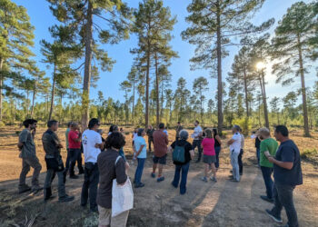 Un curso de verano de la UCLM aborda en Cuenca los retos del sector forestal en asuntos como el fuego o la bioeconomía Un curso de verano de la UCLM aborda en Cuenca los retos del sector forestal en asuntos como el fuego o la bioeconomía