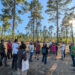 Un curso de verano de la UCLM aborda en Cuenca los retos del sector forestal en asuntos como el fuego o la bioeconomía Un curso de verano de la UCLM aborda en Cuenca los retos del sector forestal en asuntos como el fuego o la bioeconomía
