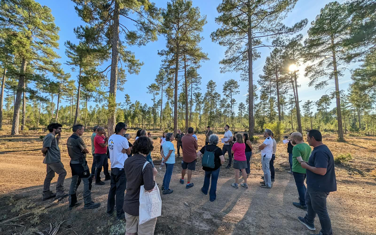 Un curso de verano de la UCLM aborda en Cuenca los retos del sector forestal en asuntos como el fuego o la bioeconomía Un curso de verano de la UCLM aborda en Cuenca los retos del sector forestal en asuntos como el fuego o la bioeconomía