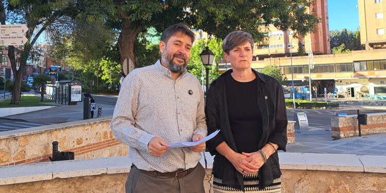Un informe técnico alerta de que el proyecto de Cardenal González de Mendoza contradice los fondos europeos al talar arbolado y hormigonar la Antigua Un informe técnico alerta de que el proyecto de Cardenal González de Mendoza contradice los fondos europeos al talar arbolado y hormigonar la Antigua