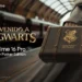 realme presenta el nuevo 16 Pro 5G en una edición especial inspirada en Harry Potter