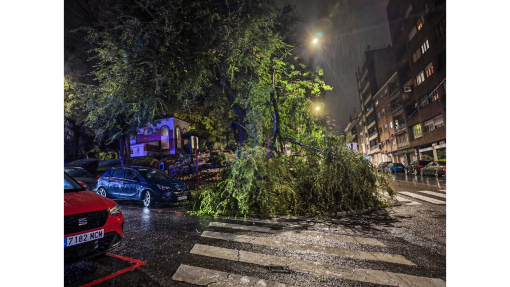 La caída de un árbol en la calle La Carrera complica el paso peatonal en Guadalajara bajo la lluvia La caída de un árbol en la calle La Carrera complica el paso peatonal en Guadalajara bajo la lluvia