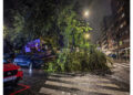 La caída de un árbol en la calle La Carrera complica el paso peatonal en Guadalajara bajo la lluvia