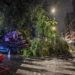 La caída de un árbol en la calle La Carrera complica el paso peatonal en Guadalajara bajo la lluvia