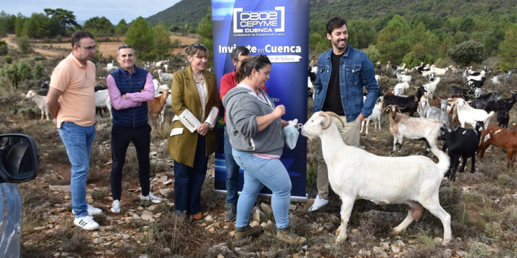 Cinco proyectos liderados por mujeres que plantan cara a la despoblación en los pueblos de Cuenca Cinco proyectos liderados por mujeres que plantan cara a la despoblación en los pueblos de Cuenca