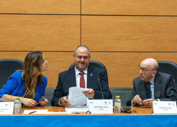 El Gobierno regional reclama a Europa que dote al sector vitivinícola de presupuesto suficiente para afrontar los desafíos presentes y futuros