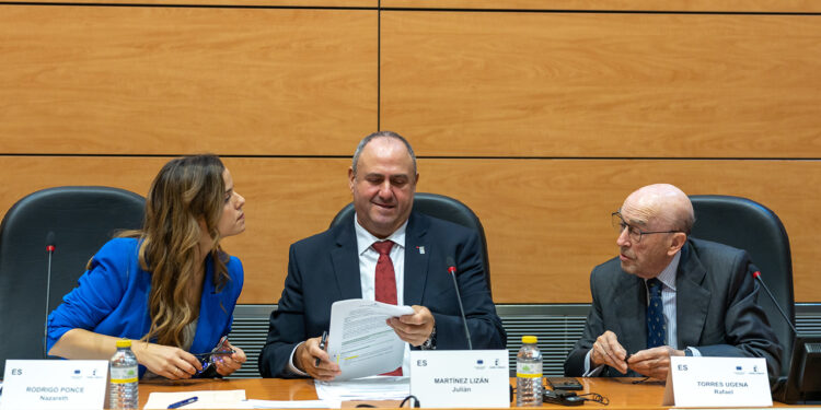 El Gobierno regional reclama a Europa que dote al sector vitivinícola de presupuesto suficiente para afrontar los desafíos presentes y futuros