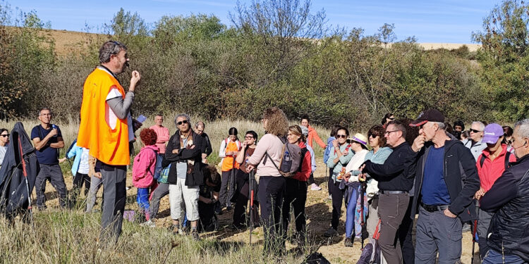 Fuentelahiguera de Albatages reúne a 170 senderistas en el estreno de la nueva temporada de ‘Campiñeando’ Fuentelahiguera de Albatages reúne a 170 senderistas en el estreno de la nueva temporada de ‘Campiñeando’