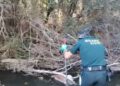 Investigan a un vecino de 67 años tras hallar muerto a su perro con el cráneo fracturado en el río Jarama a su paso por Uceda