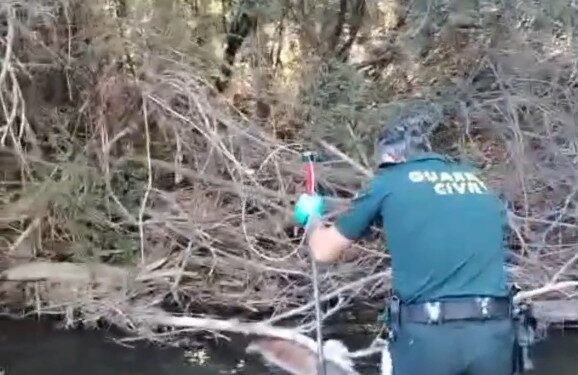 Investigan a un vecino de 67 años tras hallar muerto a su perro con el cráneo fracturado en el río Jarama a su paso por Uceda Investigan a un vecino de 67 años tras hallar muerto a su perro con el cráneo fracturado en el río Jarama a su paso por Uceda