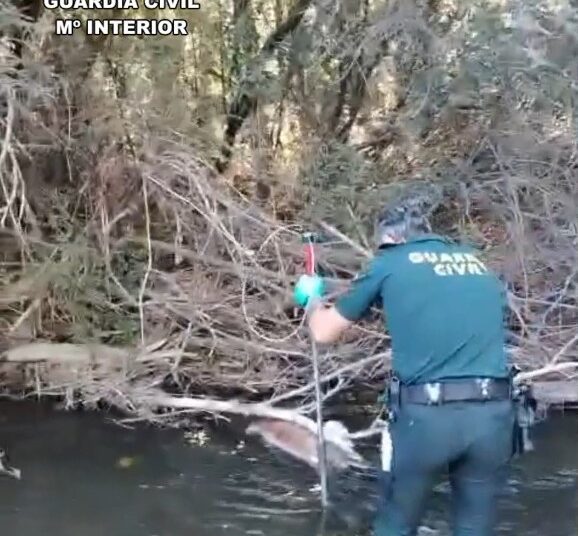 Investigan a un vecino de 67 años tras hallar muerto a su perro con el cráneo fracturado en el río Jarama a su paso por Uceda