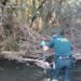 Investigan a un vecino de 67 años tras hallar muerto a su perro con el cráneo fracturado en el río Jarama a su paso por Uceda Investigan a un vecino de 67 años tras hallar muerto a su perro con el cráneo fracturado en el río Jarama a su paso por Uceda