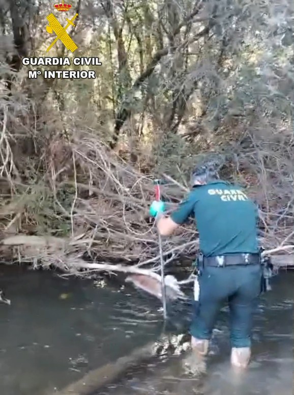 Investigan a un vecino de 67 años tras hallar muerto a su perro con el cráneo fracturado en el río Jarama a su paso por Uceda Investigan a un vecino de 67 años tras hallar muerto a su perro con el cráneo fracturado en el río Jarama a su paso por Uceda