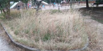 Izquierda Unida de Azuqueca denuncia el abandono persistente y generalizado del municipio
