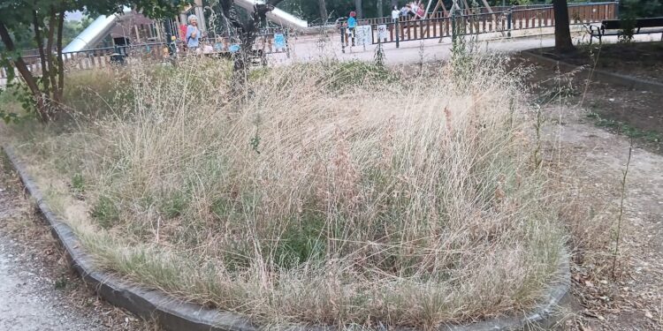 Izquierda Unida de Azuqueca denuncia el abandono persistente y generalizado del municipio Izquierda Unida de Azuqueca denuncia el abandono persistente y generalizado del municipio