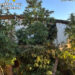 La Guardia Civil desmantela una plantación de cannabis en una vivienda de Olmeda del Rey y detiene al morador tras intentar huir por el tejado La Guardia Civil desmantela una plantación de cannabis en una vivienda de Olmeda del Rey y detiene al morador tras intentar huir por el tejado