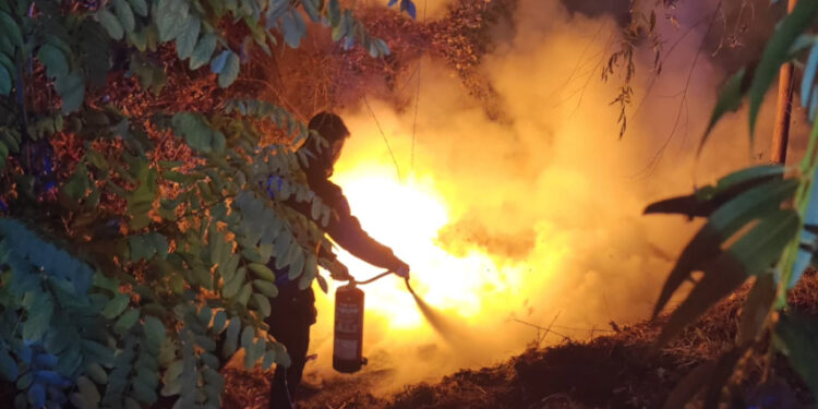 La Policía Local de Cuenca sofoca el incendio de un contenedor en la calle Antonio Maura y evita daños en una zona arbolada La Policía Local de Cuenca sofoca el incendio de un contenedor en la calle Antonio Maura y evita daños en una zona arbolada