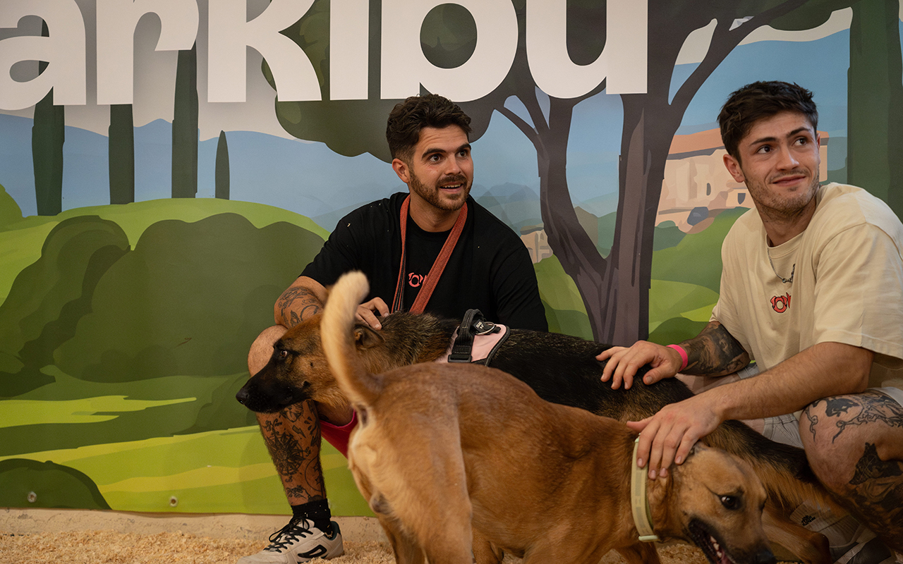 La protectora 3 Cruces de Casas de Haro llevará sus casos de adopción a la feria nacional de Albacete La protectora 3 Cruces de Casas de Haro llevará sus casos de adopción a la feria nacional de Albacete