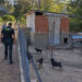 Localizan dos criaderos ilegales con 41 perros enjaulados en Cuenca