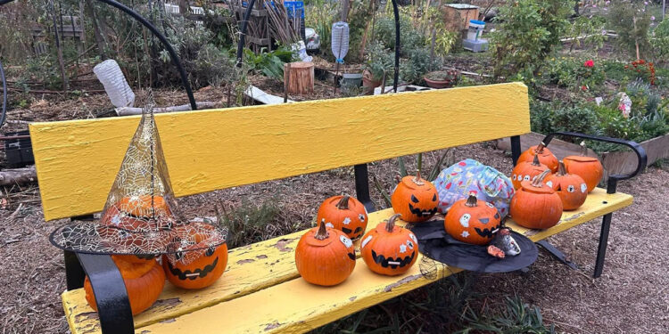 Los huertos urbanos de Tarancón celebran el Día de las Ánimas con cuentos, pasaje del terror y talleres de calabazas