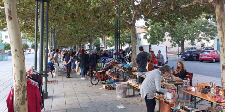 Más de 60 puestos en la 17ª edición del Mercadillo de Segunda Mano de Cabanillas Más de 60 puestos en la 17ª edición del Mercadillo de Segunda Mano de Cabanillas