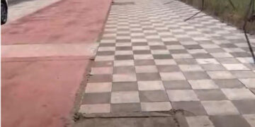 Un mapeo vecinal cifra en más de medio millar los árboles que faltan o están dañados en las calles de Cuenca