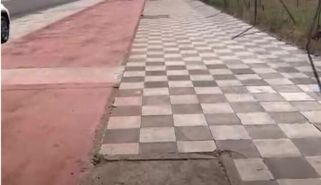 Un mapeo vecinal cifra en más de medio millar los árboles que faltan o están dañados en las calles de Cuenca Un mapeo vecinal cifra en más de medio millar los árboles que faltan o están dañados en las calles de Cuenca