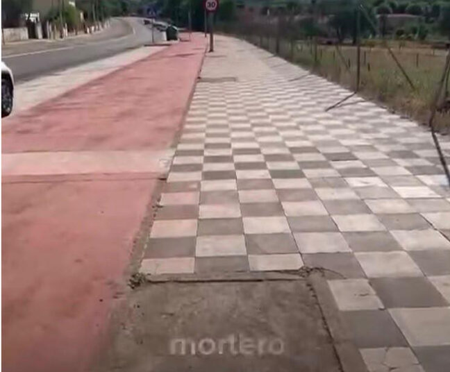 Un mapeo vecinal cifra en más de medio millar los árboles que faltan o están dañados en las calles de Cuenca