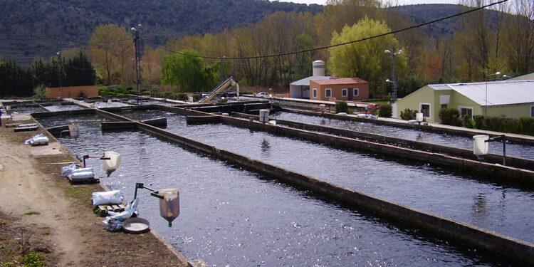 Uña acogerá una jornada sobre acuicultura continental dentro del ciclo formativo de Desarrollo Sostenible Uña acogerá una jornada sobre acuicultura continental dentro del ciclo formativo de Desarrollo Sostenible